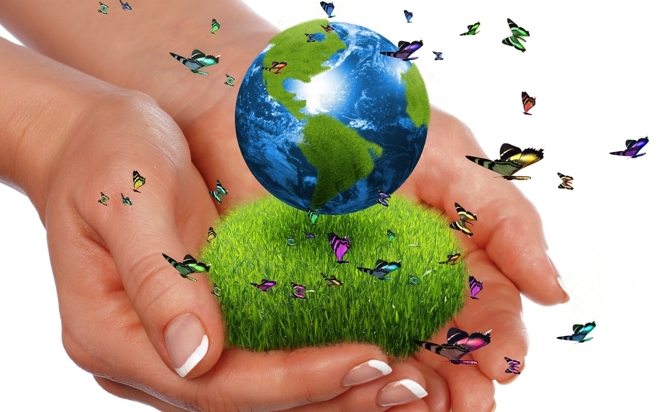 green-world-in-hand-background (659x412, 185Kb)