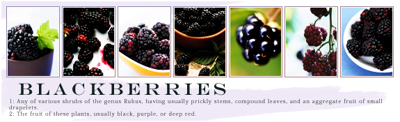 blackberries (575x175, 117Kb)