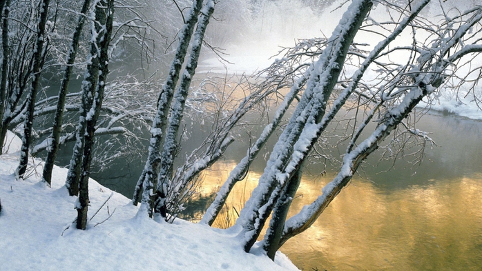 3623822_riverthruwinter39713 (700x393, 267Kb)