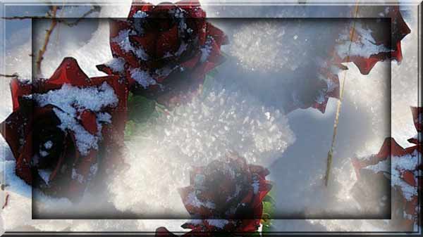 Unbenannt-1 (600x337, 22Kb)