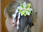  DSC00230 (640x480, 92Kb)