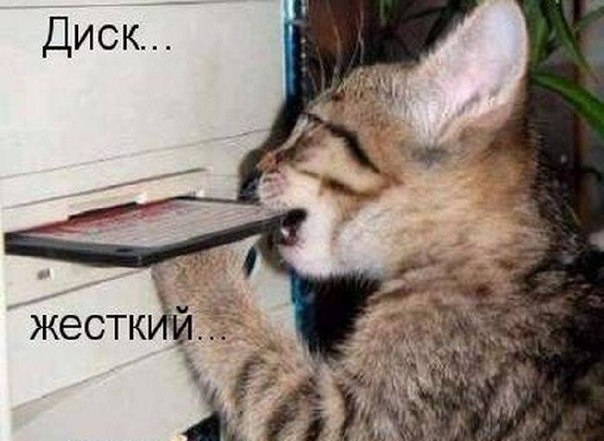f9cZdQNQ31c (604x441, 54Kb)
