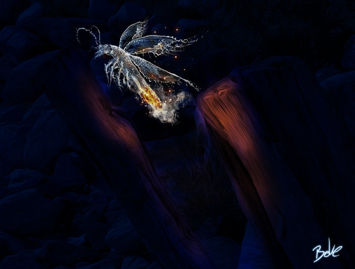 water_firefly_by_b_o_k_e-d5c5qll (700x529, 50Kb)