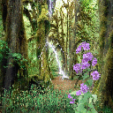 ��� (128x128, 976Kb)