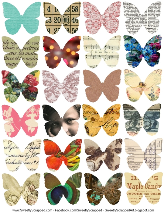 collage butterflies- sweetly scrapped (540x700, 316Kb)