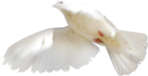   (1) (148x76, 14Kb)
