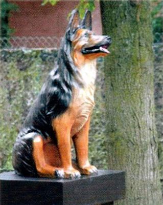 ÐšÐ°Ñ€Ñ‚Ð¸Ð½ÐºÐ¸ Ð¿Ð¾ Ð·Ð°Ð¿Ñ€Ð¾ÑÑƒ old german shepherd dog