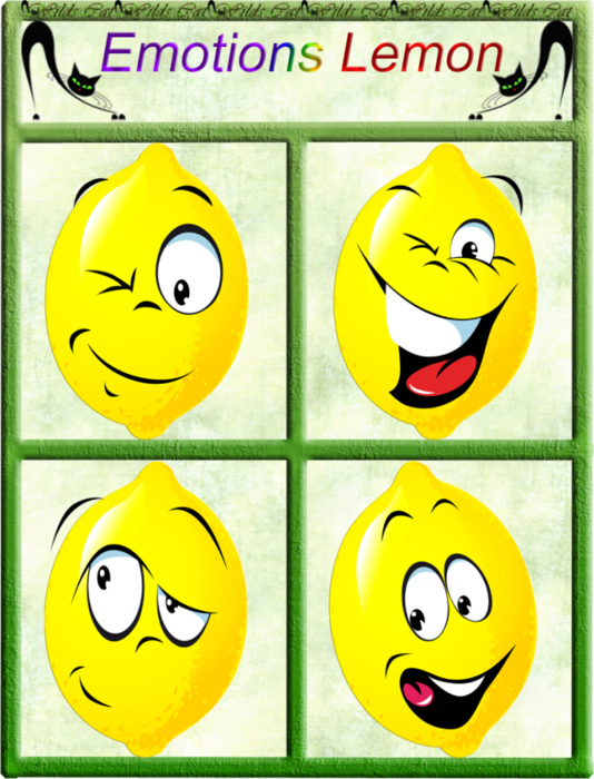 4865645_01Lemon (534x700, 567Kb)