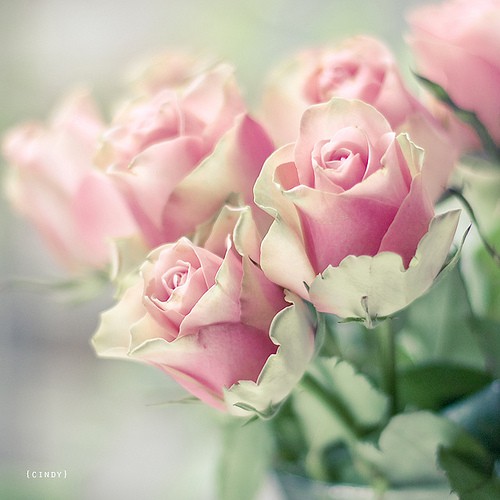 7Vlgb13q (500x500, 46Kb)