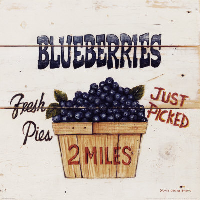 3181~Blueberries-Just-Picked-Posters (400x400, 46Kb)