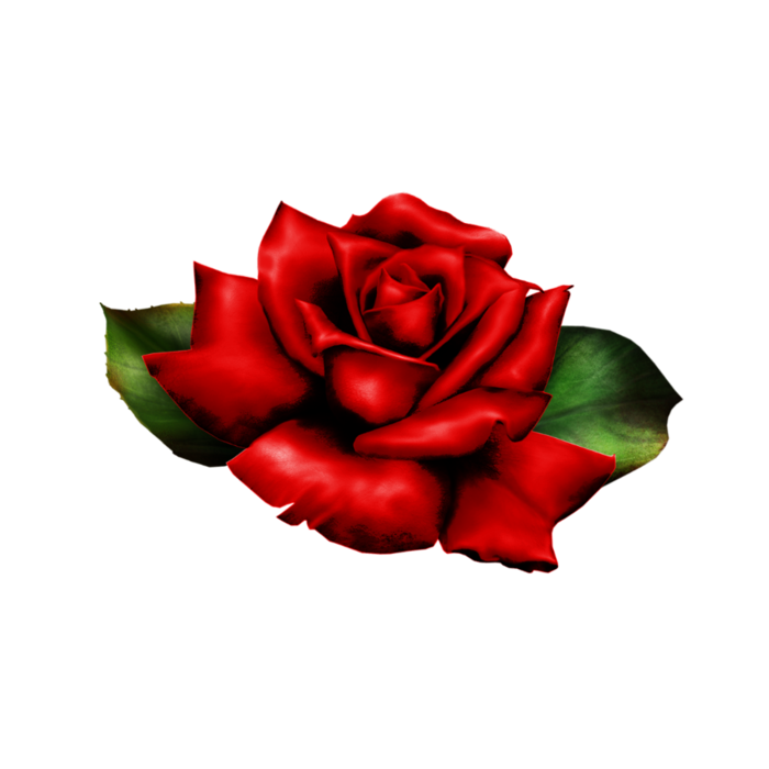 rose with leaves2 (700x700, 165Kb)