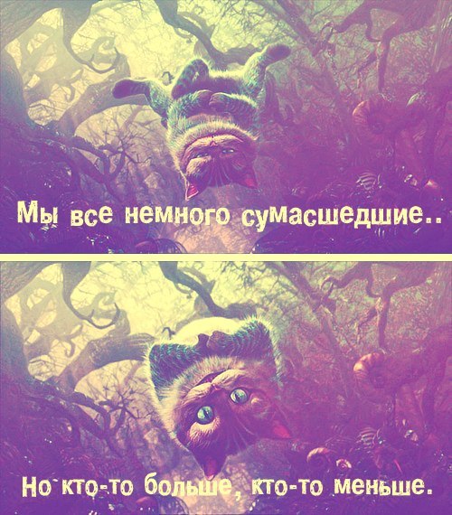 6350_original (500x570, 87Kb)