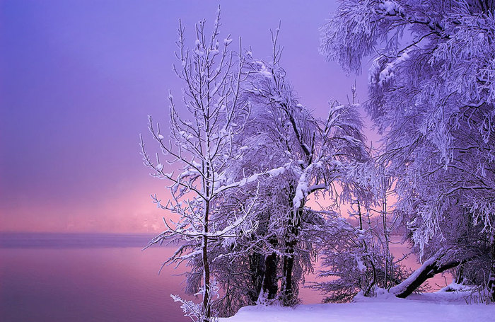 Gorgeous-Winter-Landscapes-6 (700x455, 122Kb)