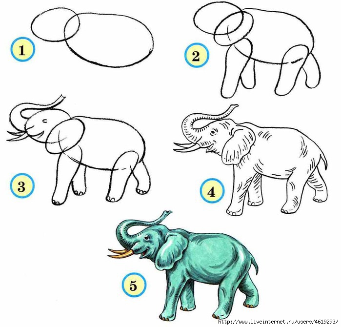 Как нарисовать слона поэтапно - уроки для детей