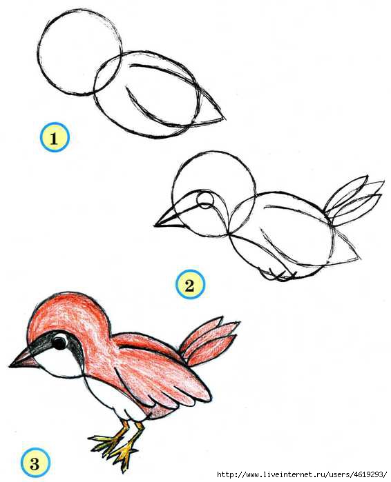 Конспект НОД по рисованию «Перелетные птицы»