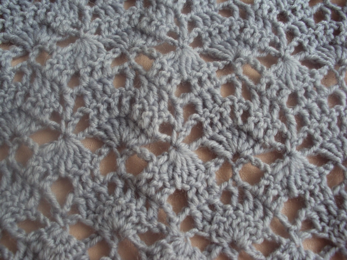 DSC02579 (700x525, 310Kb)
