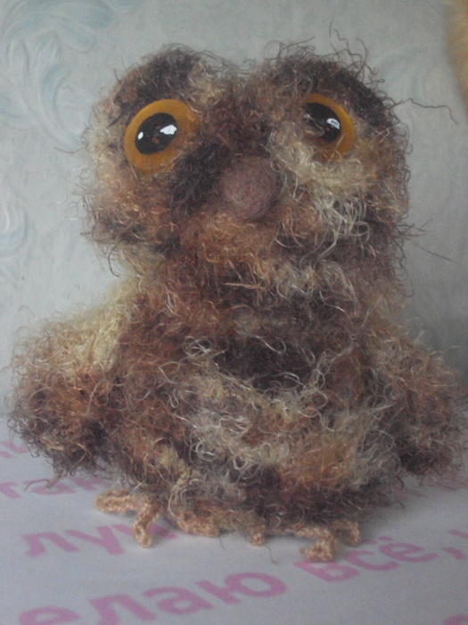 DSC02580 (525x700, 269Kb)