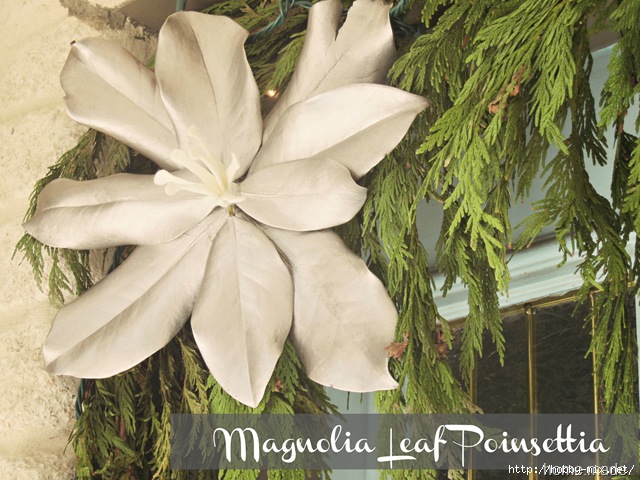 magnolia leaf poinsettia 1_thumb[7] (640x480, 220Kb)