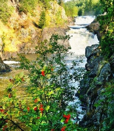 4592859_kareliya2 (400x461, 220Kb)