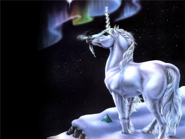 0001 (1) (640x480, 49Kb)