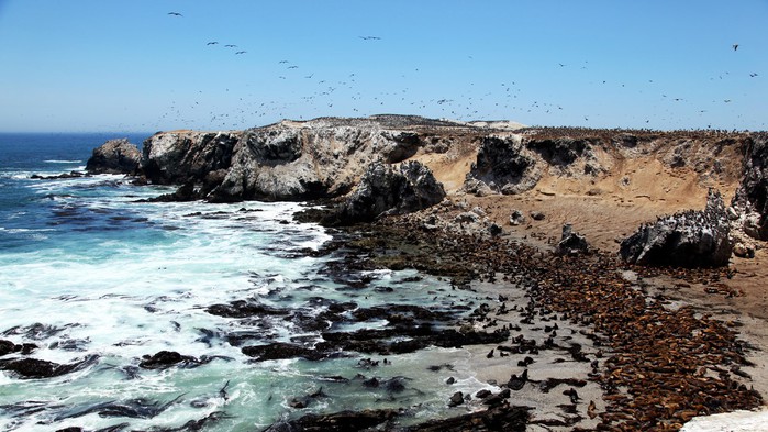 �������2 (700x393, 107Kb)