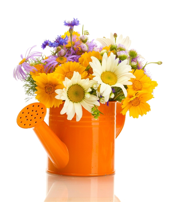 watering-can-with-flowers (591x700, 192Kb)