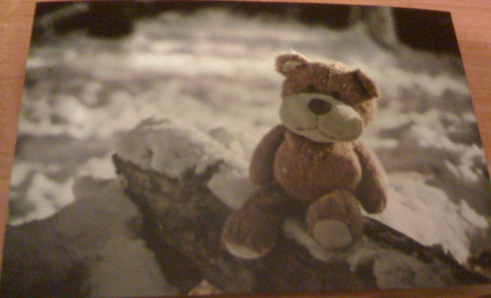 2891089_fotografiya2 (700x425, 209Kb)