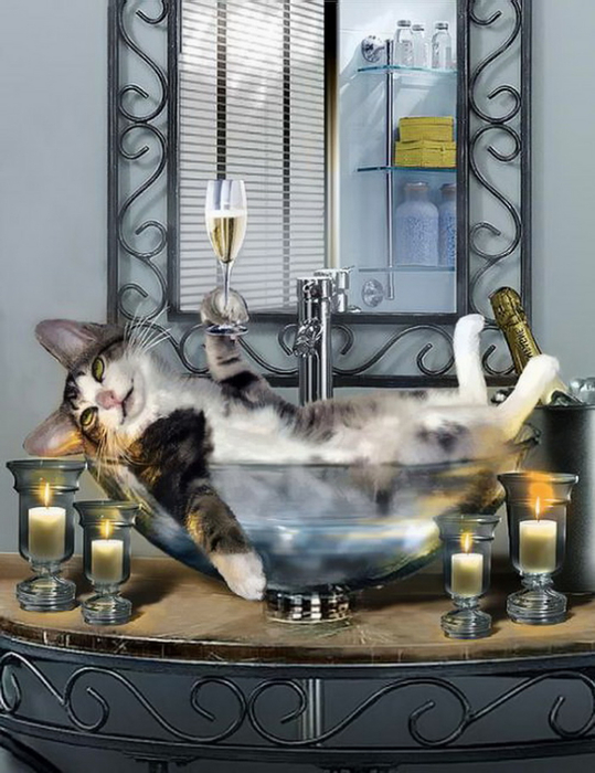 Tipsy kitty taken a bubble bath by candlelight (539x700, 339Kb)