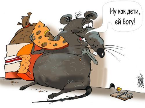   (500x371, 28Kb)
