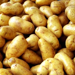 potato1-290x290 (290x290, 30Kb)