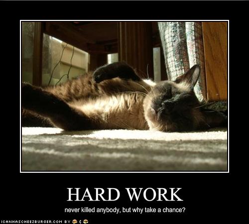 funny-pictures-of-work-2 (500x450, 32Kb)