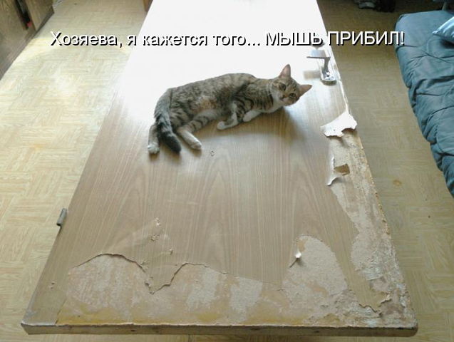 g777etImage (637x480, 46Kb)