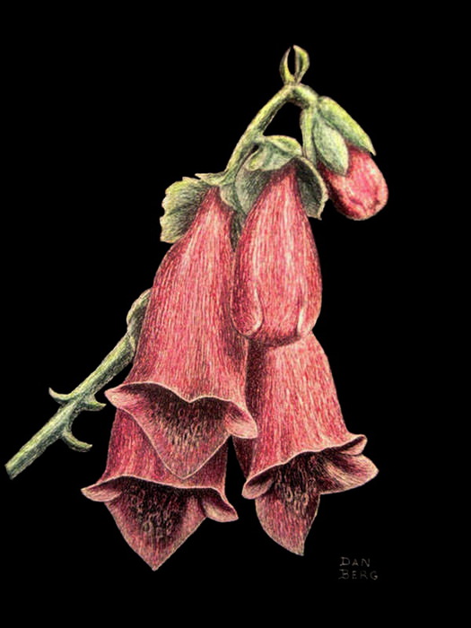 5104ad8469b3 (550x700, 66Kb)