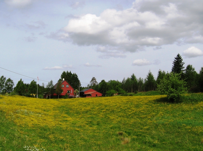 3649705_Pensjonistertur_til_Norge_2012_417 (700x521, 290Kb)