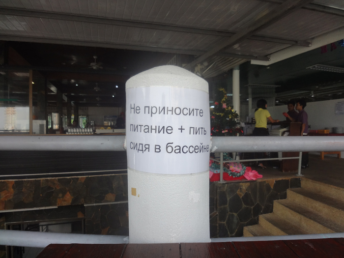 DSC02138 (700x525, 314Kb)