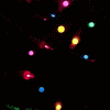 tumblr_lw1nmcOxkd1qcwl12o1_500 (100x100, 22Kb)