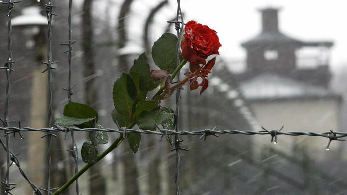 Auschwitz-27.01.2013-RemDay (700x393, 35Kb)
