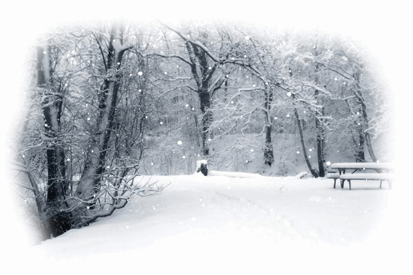 36671861_4804730_1192270413_4201241_snow (600x400, 169Kb)