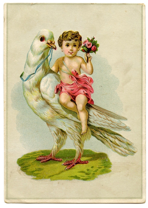 cherub with dove GraphicsFairy009 (500x700, 289Kb)