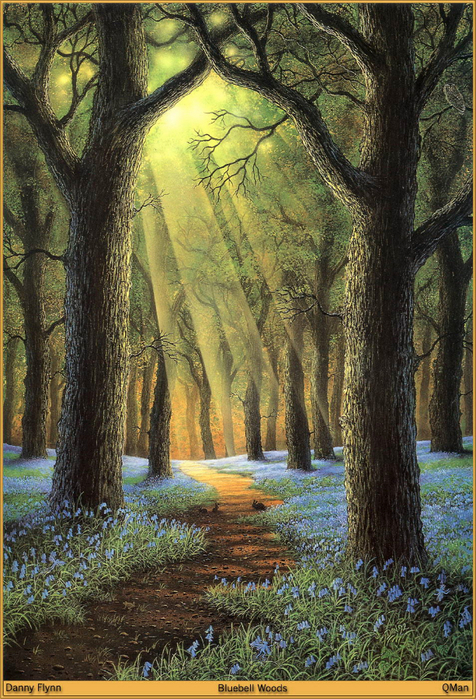 QMan_DF_OVTP_1225_Bluebell_Woods (476x700, 528Kb)