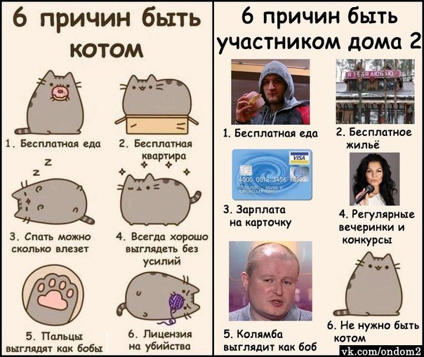 xolwGLmeeis (604x509, 82Kb)