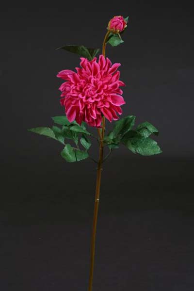 1-flowers-of-silk-dahlia (400x600, 22Kb)