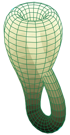 240px-Klein_bottle_svg (240x461, 98Kb)