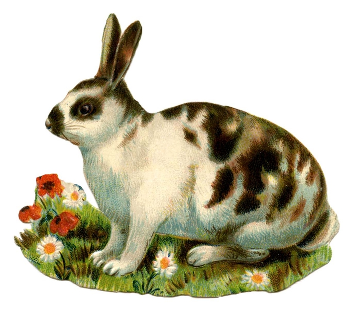 bunny-spotted-Vintage-Image-Graphics-Fairy (700x646, 231Kb)