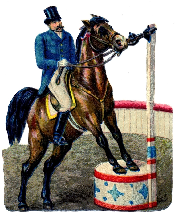 Circus-Horse-Graphics-Fairy (568x700, 311Kb)