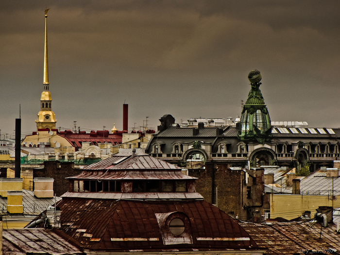 Питер 16. Крыши Питера зеленые. Моховая крыша. Волшебные крыши Петербурга. Зубчатая крыша СПБ.