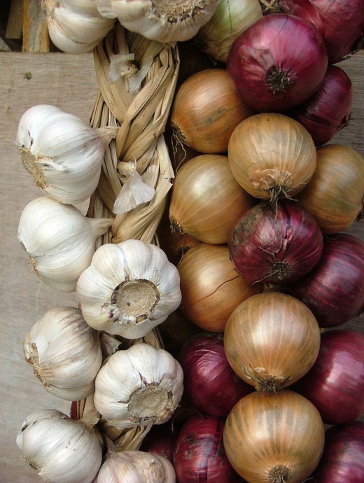 Onion-and-garlic-braids-520x690 (520x690, 105Kb)