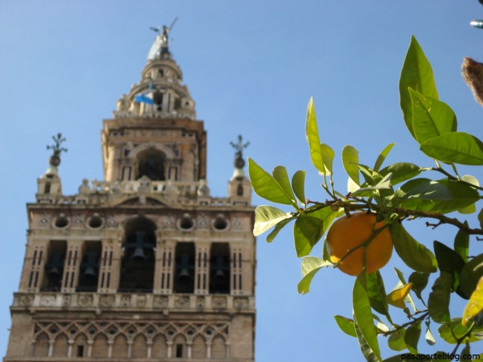 la-giralda-sevilla-700x525 (700x525, 73Kb)