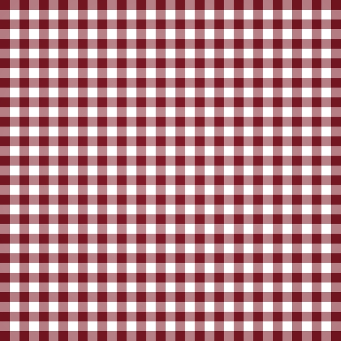 PSFeb13_JSPhotography_Red Gingham Paper (700x700, 180Kb)