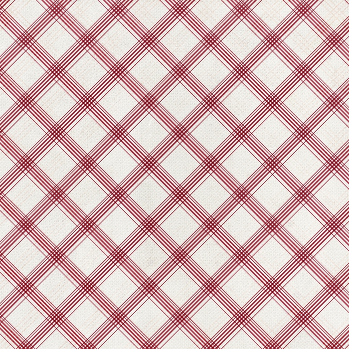 PSFeb13_JSPhotography_Red Plaid Paper (700x700, 559Kb)